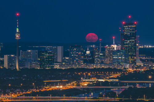 Strawberrry Moon II