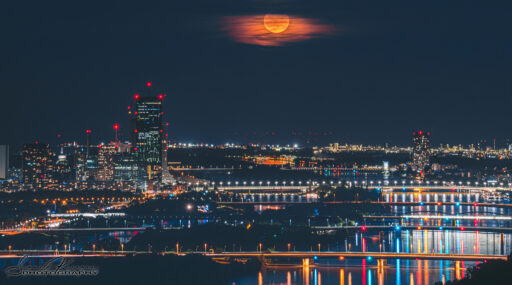 Strawberrry Moon III