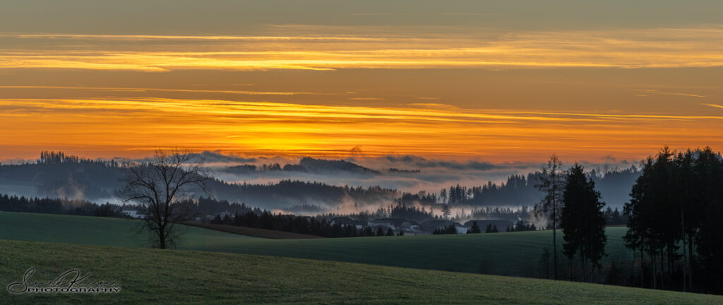 Der Nebel