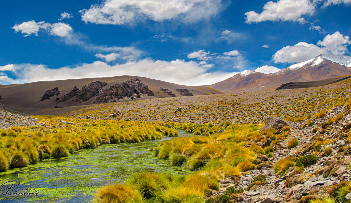 Atacama