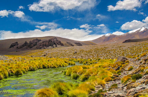 Atacama