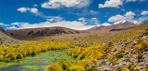 Atacama