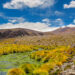 Atacama